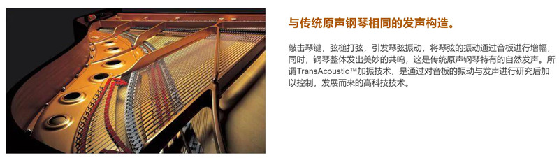 TransAcoustic?加振鋼琴