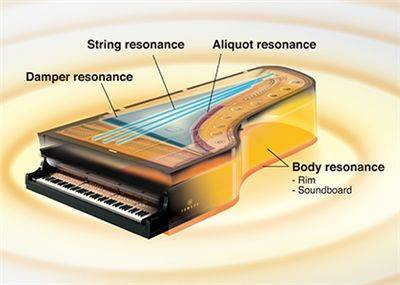TransAcoustic?加振鋼琴