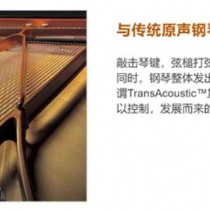 TransAcoustic?加振鋼琴